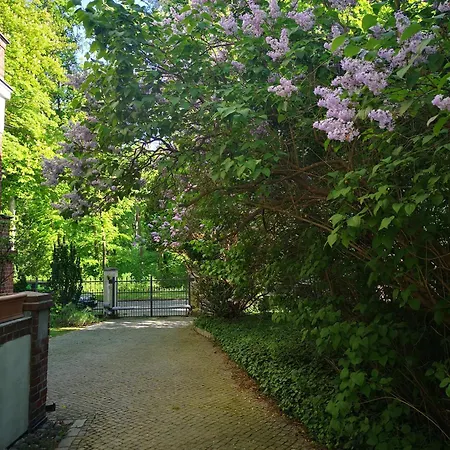 Gruenderzeitvilla In Zehlendorf 公寓