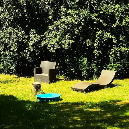 Gruenderzeitvilla In Zehlendorf Apartment *