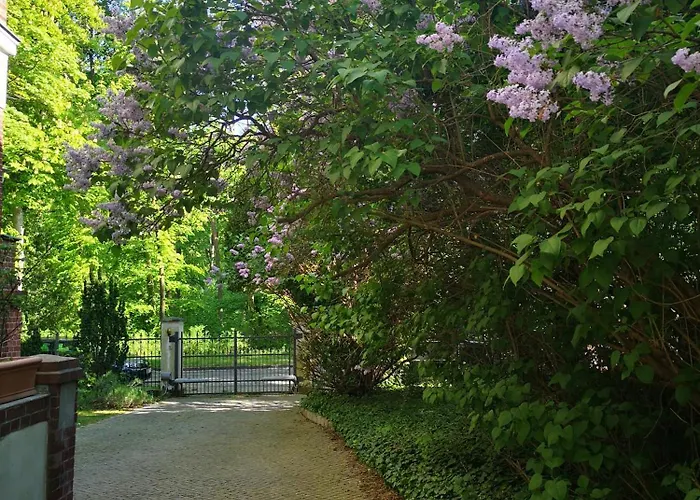 Gruenderzeitvilla In Zehlendorf アパート